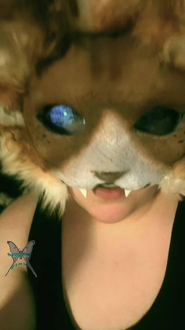 @Solar&rsquo;paw