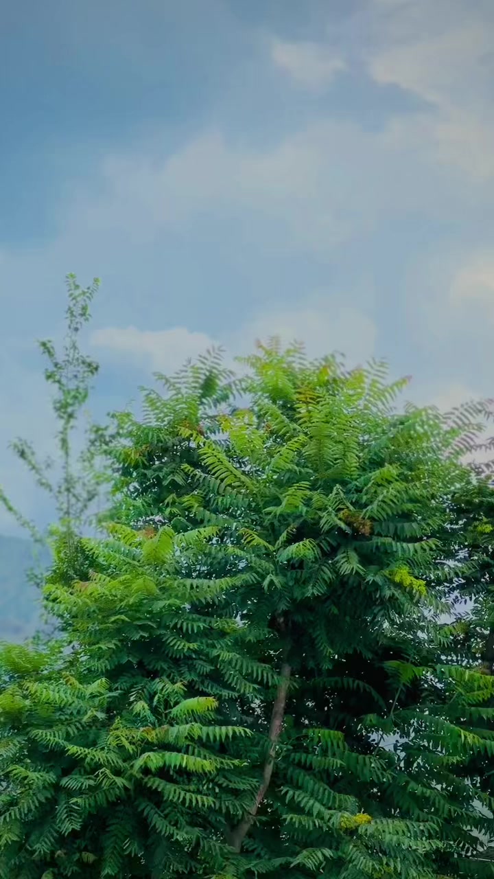 @Khan😘