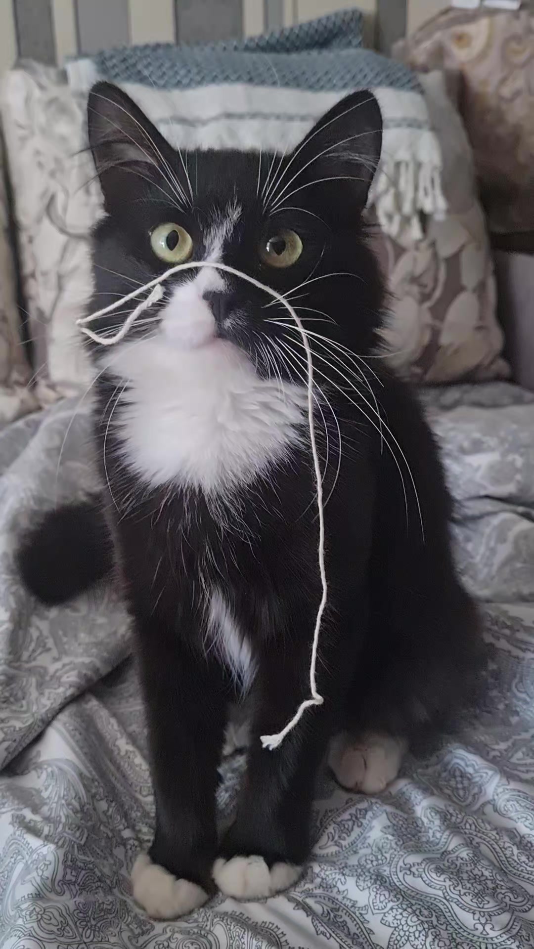 @зайка Блума💋