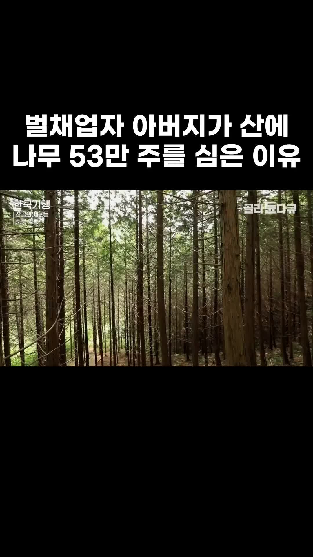 @EBS 다큐