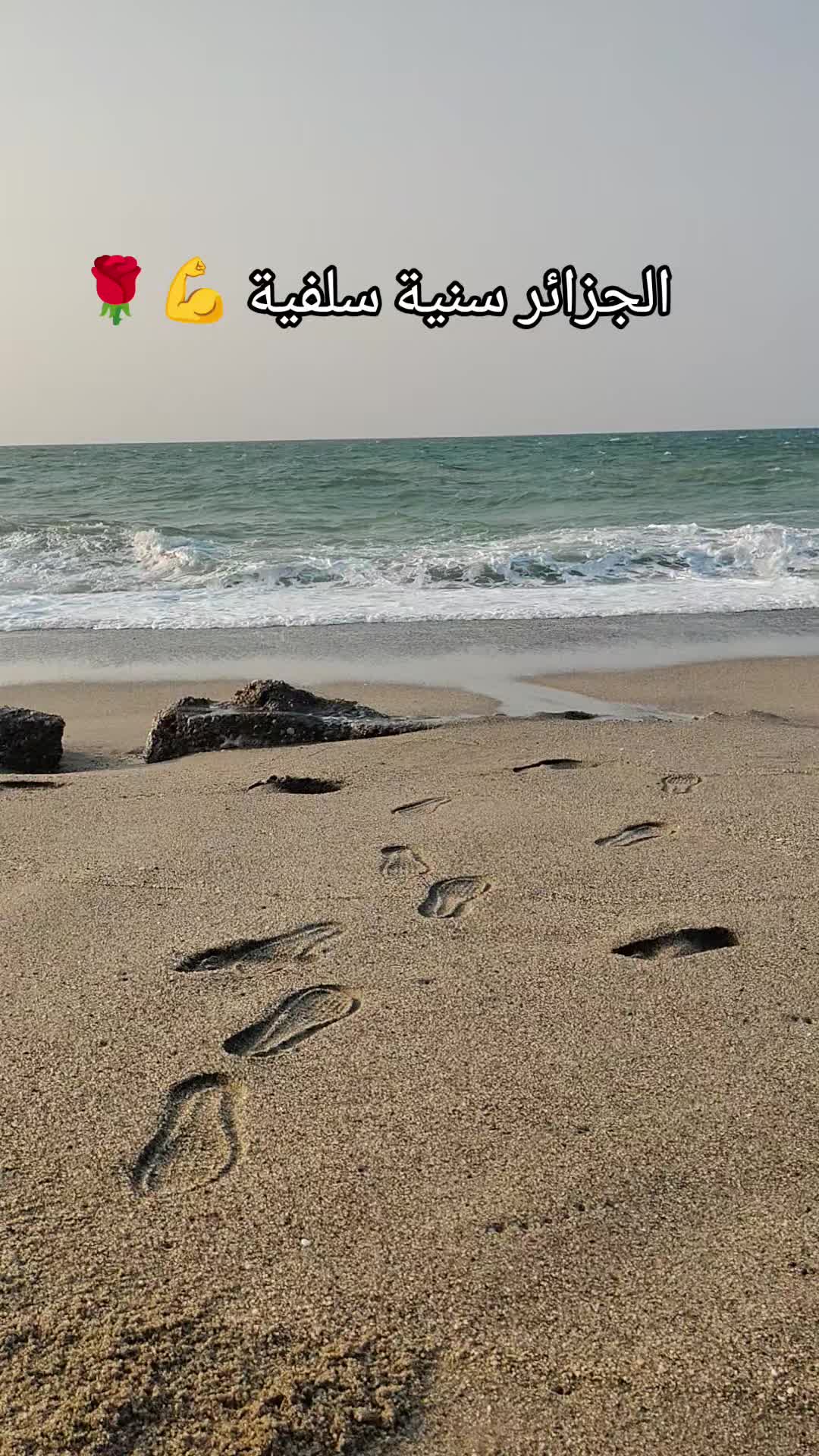 @🌹 خَلَفْ لِخَيْرِ سلَفْ 🌸📚
