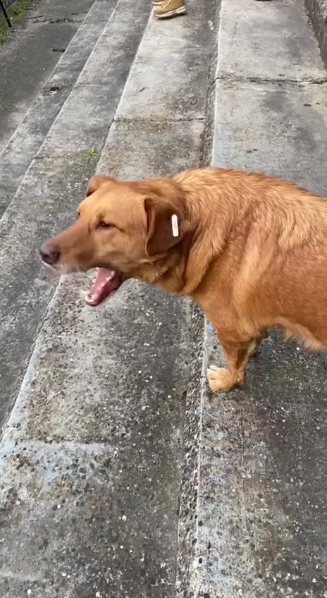 @0000002
