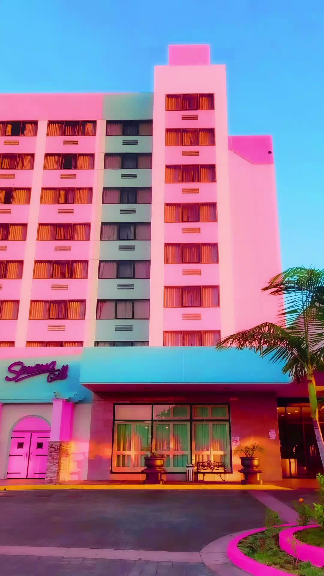 @Davin Del Amo