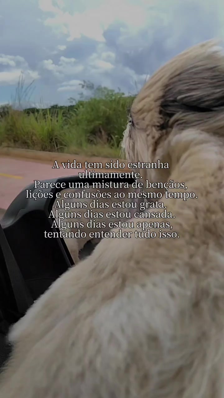 @Mari Peres Bravo