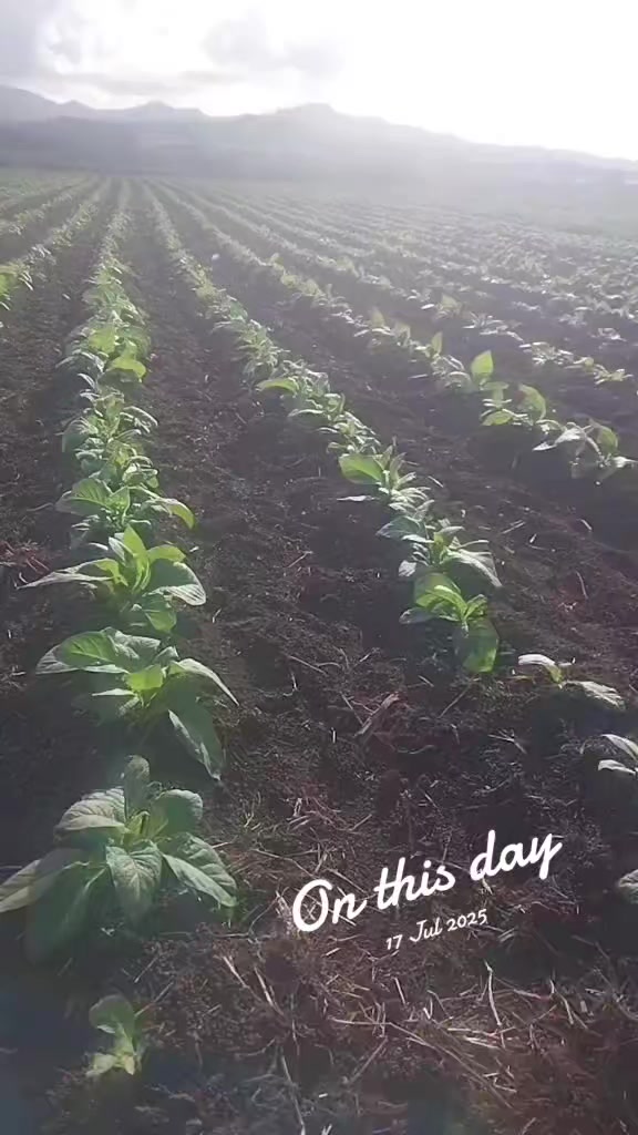 @𝗦𝗛𝗔𝗠.𝗙𝗝