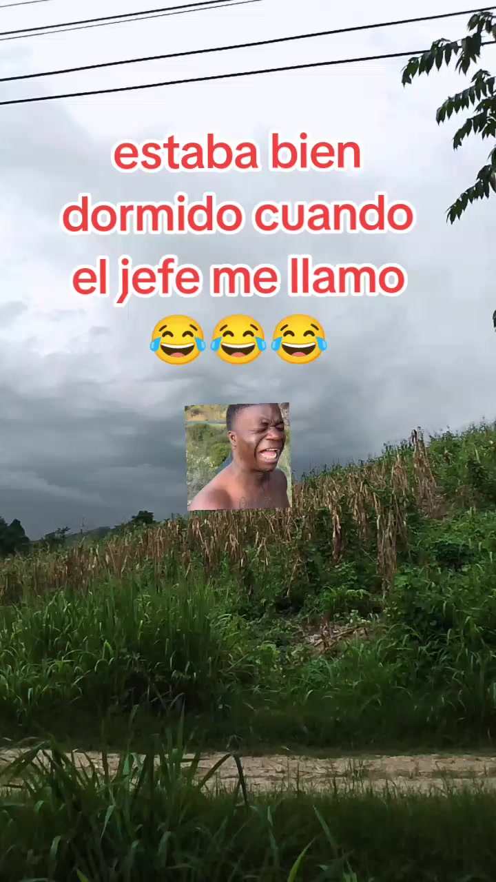 @Melvin flores 🇭🇳🦁