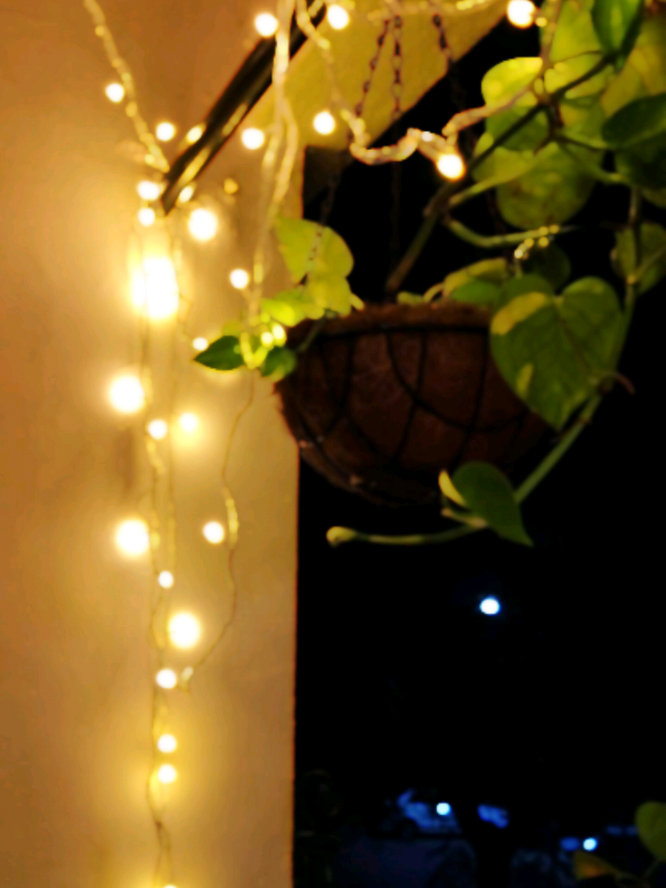 @⋆𓍼ʚMaɳ Ơɞ "🦋