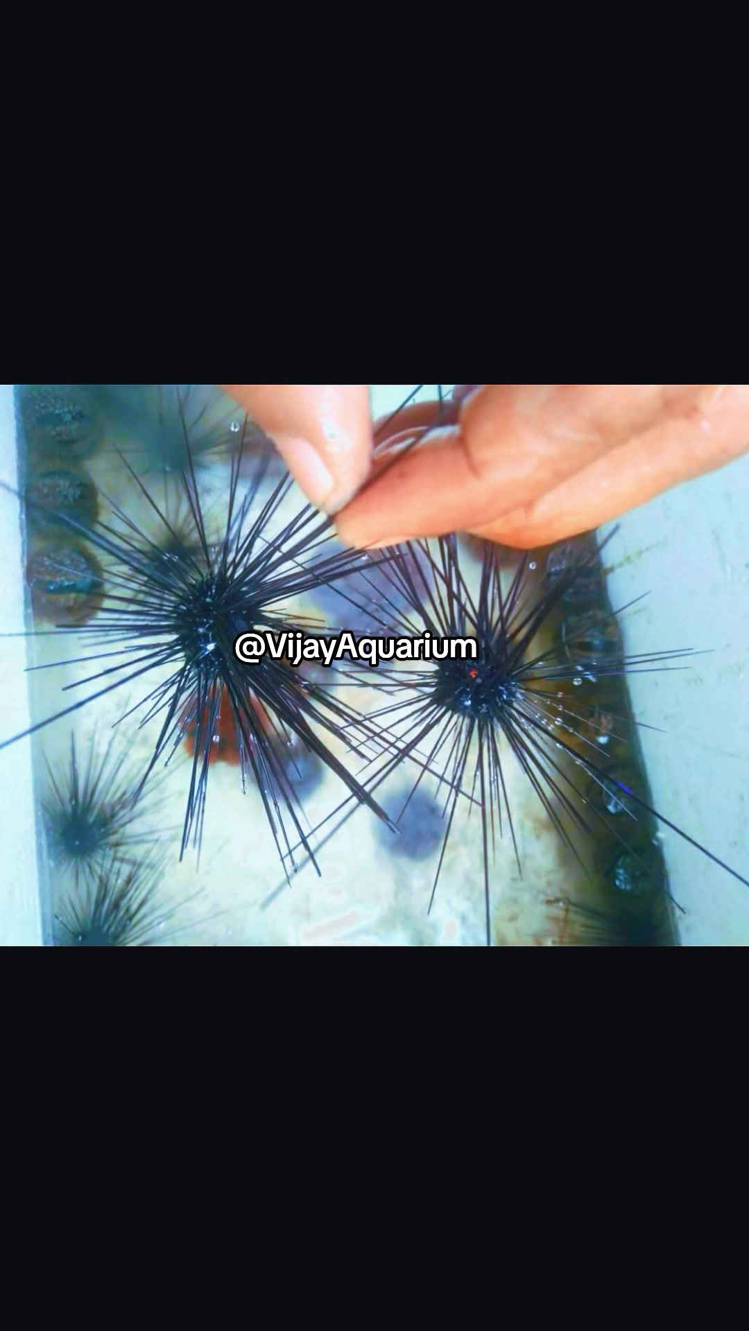 @Vijay Marine