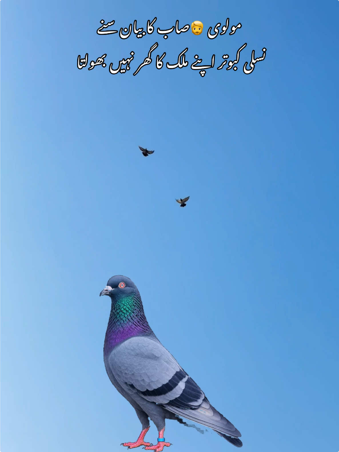 @شوق 🫀