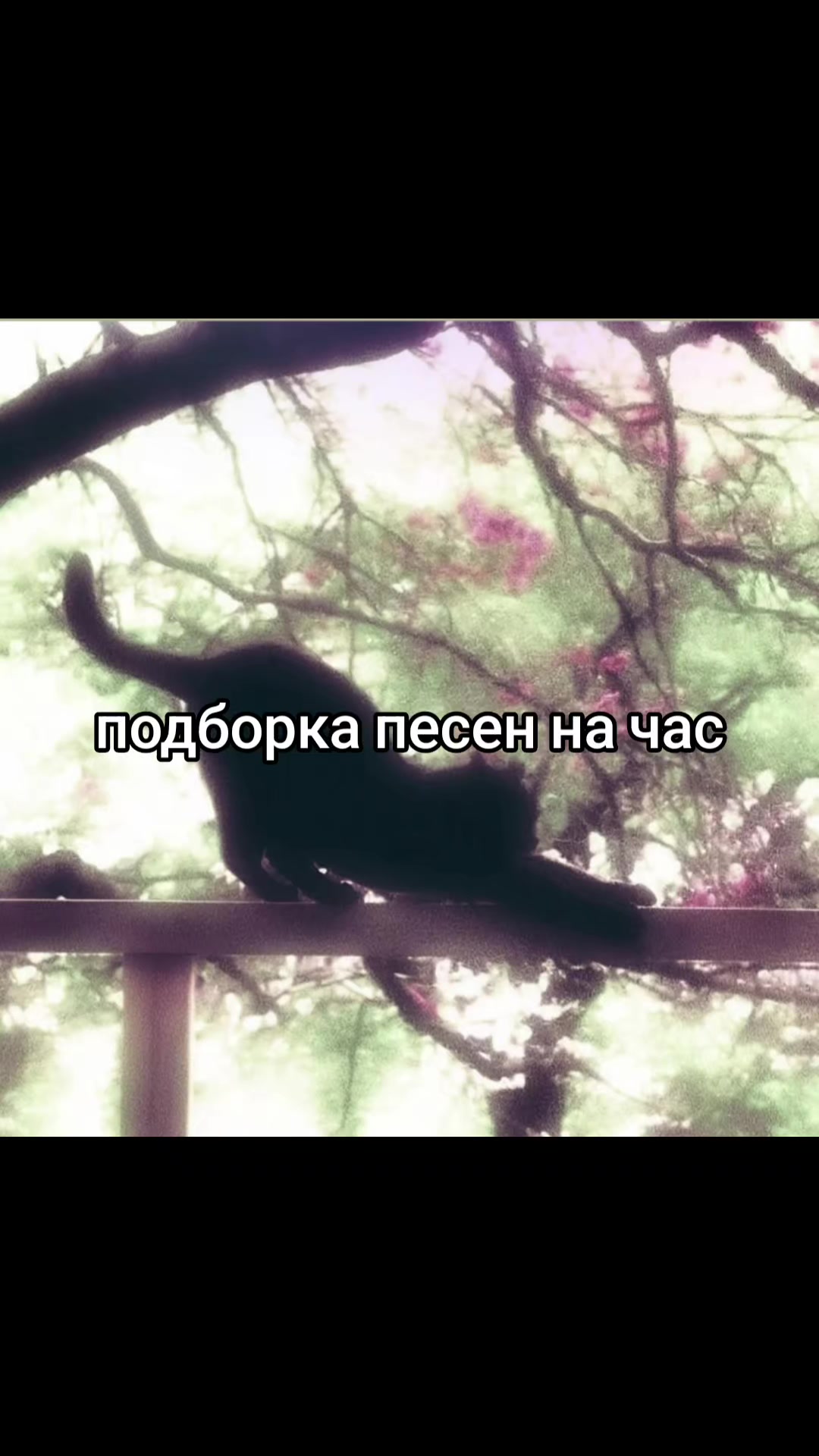 @🌺🌺🌺отказано🫦🫦🫦