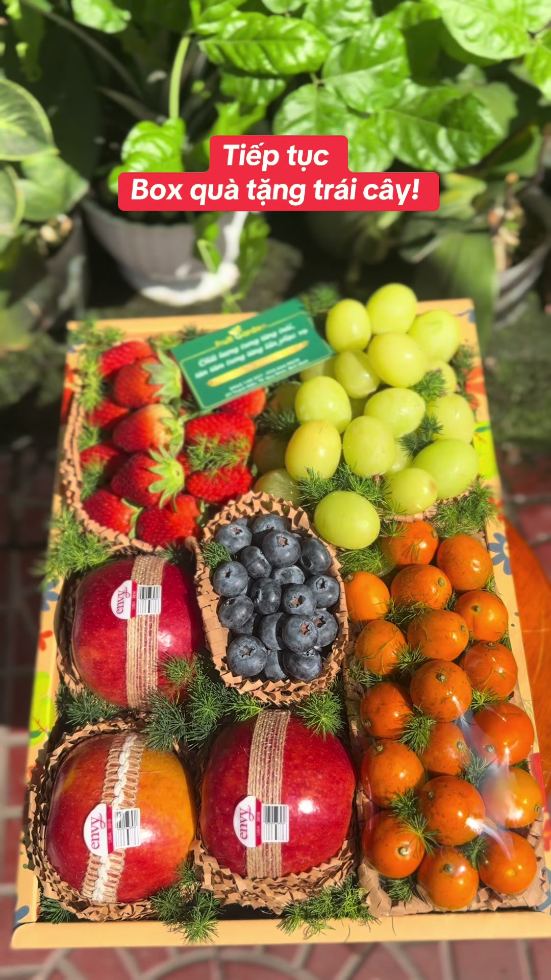 @Diệp Thị Thu Thảo