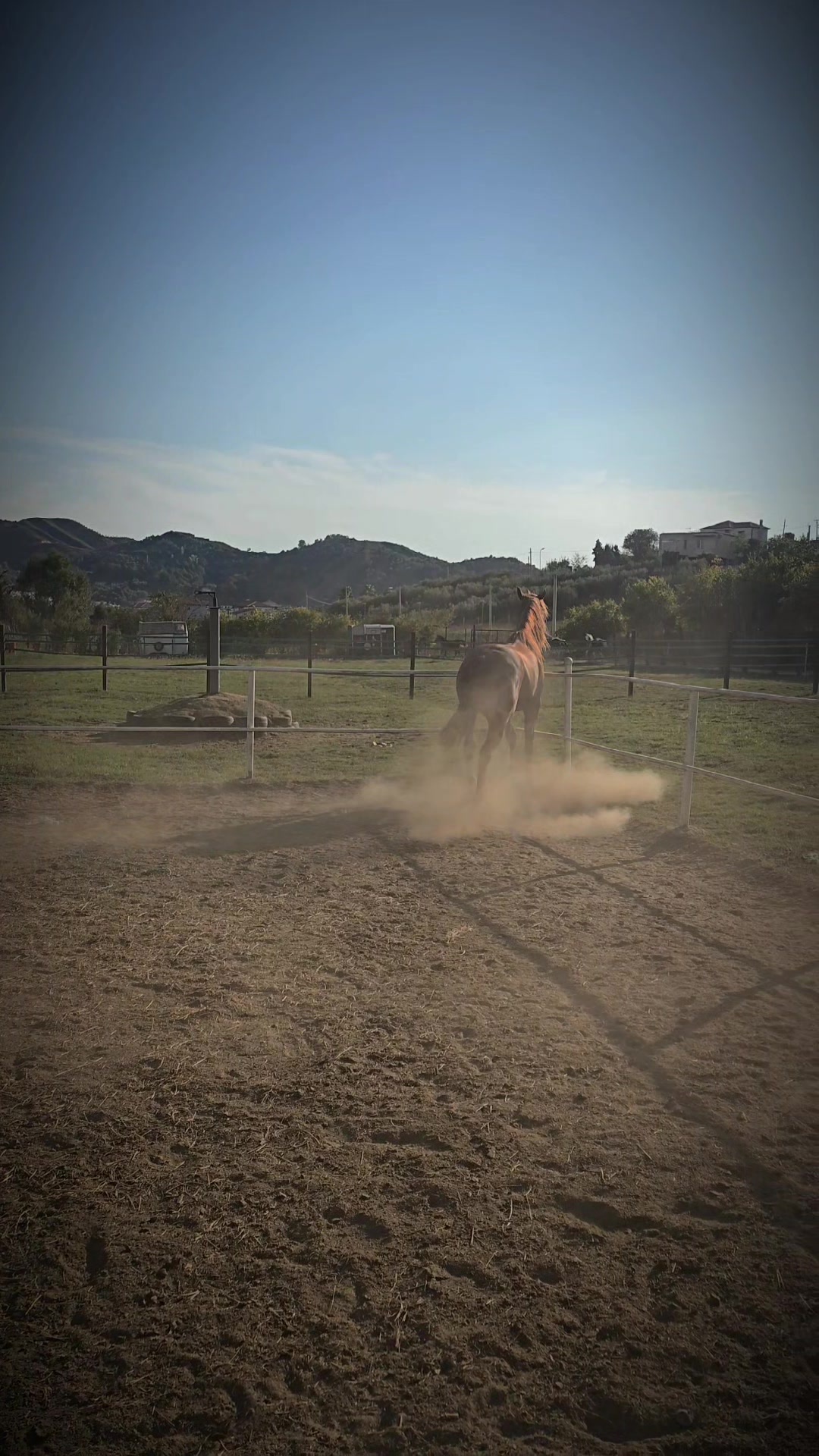 @Horse Training Center Albania