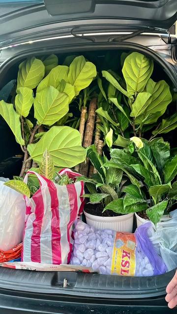 @BM-JOV GARDEN CENTER