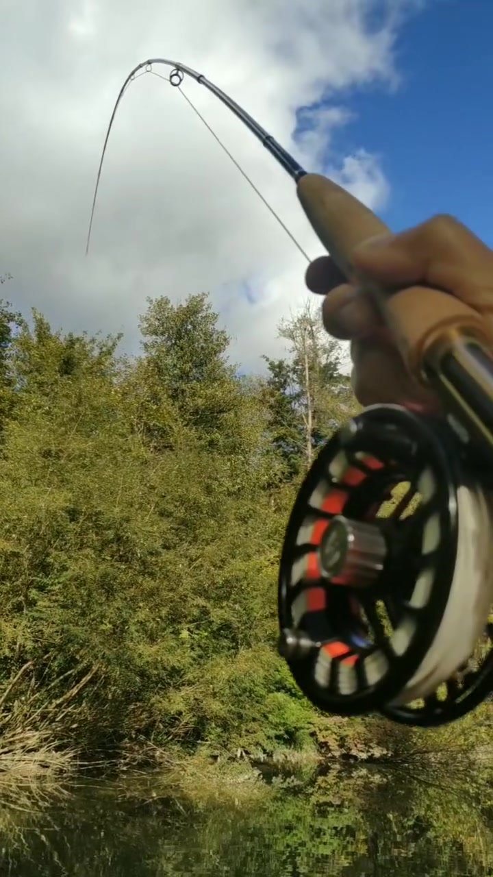@Maxcatch Fishing Official