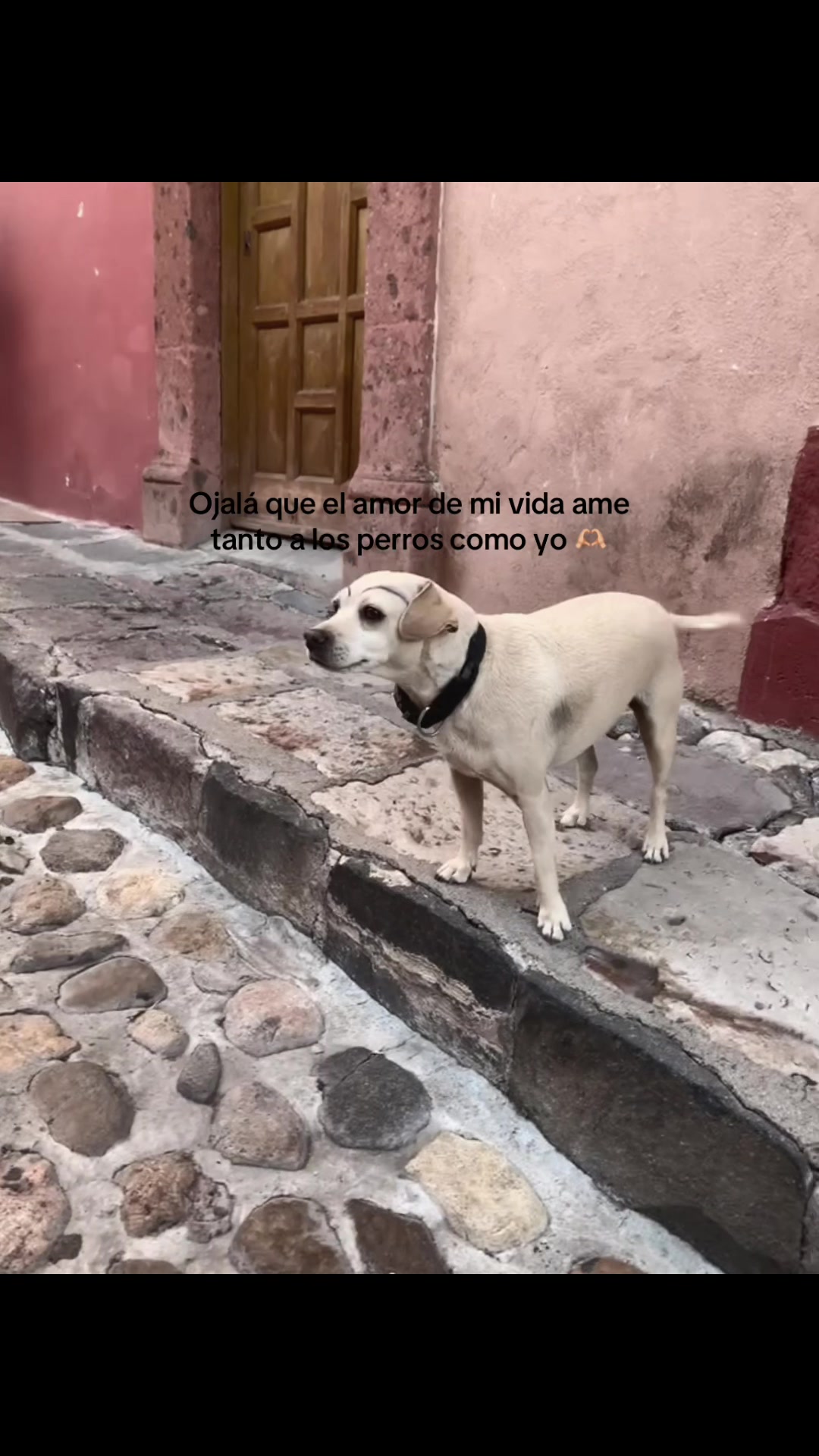 @unamas