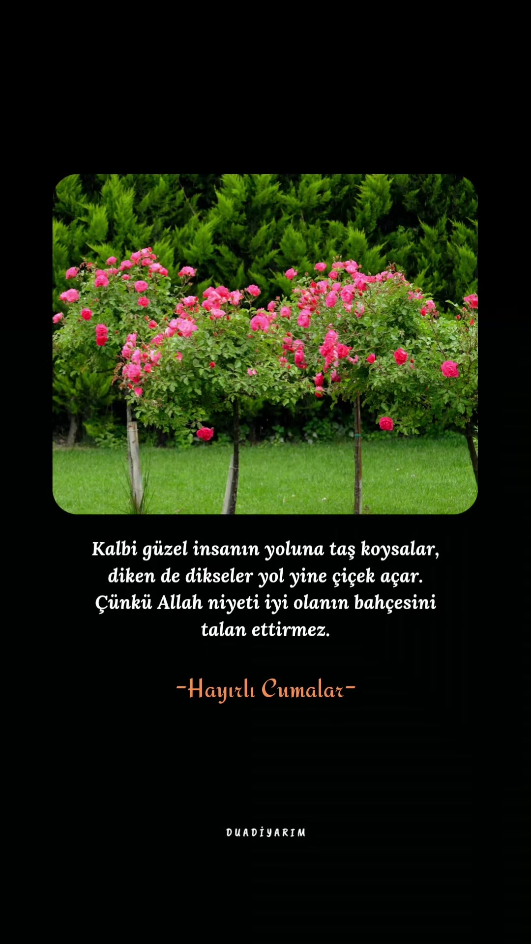@ᴅᴜᴀ ᴅɪ̇ʏᴀʀɪᴍ