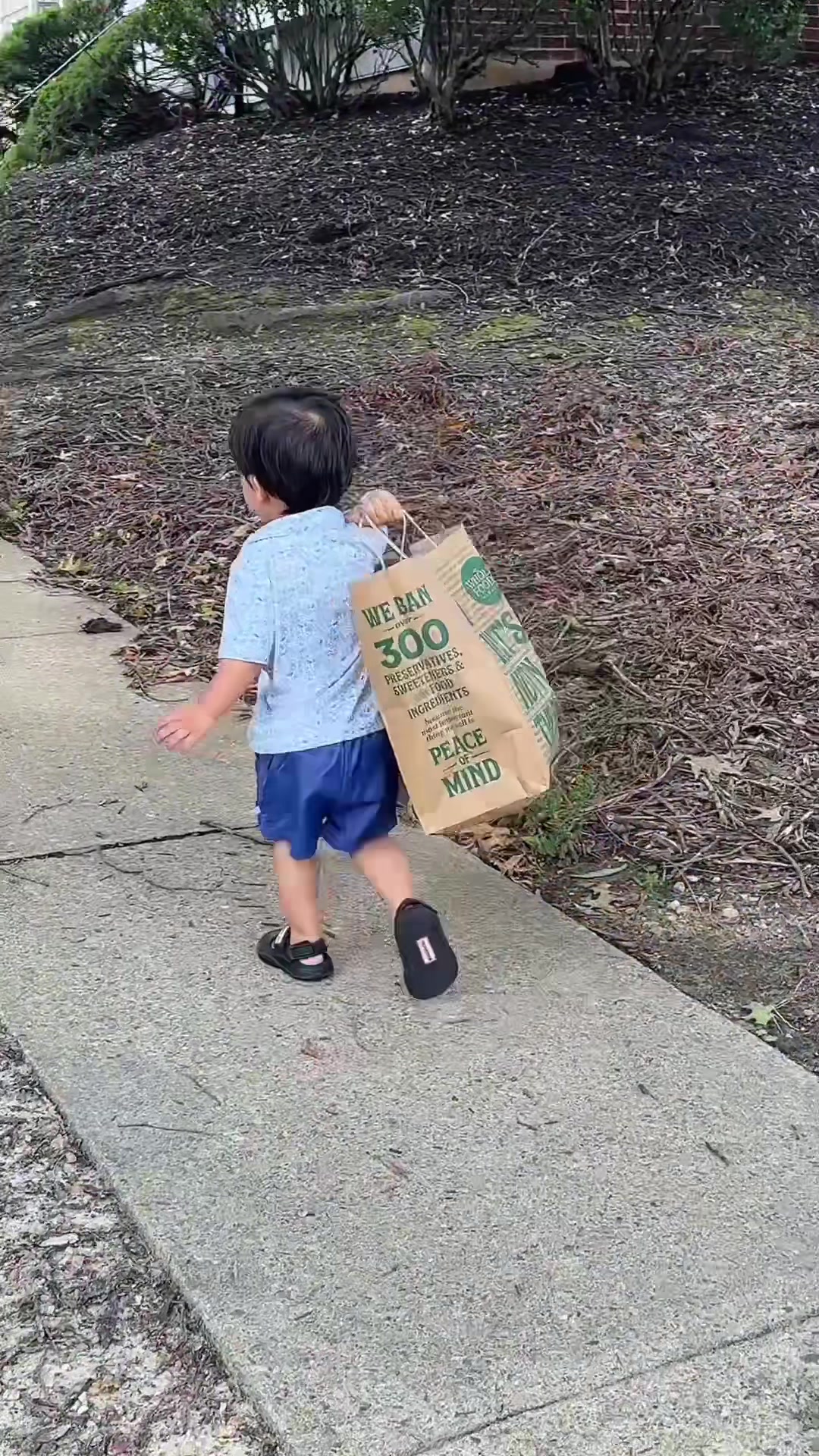 @Mandira Budathoki