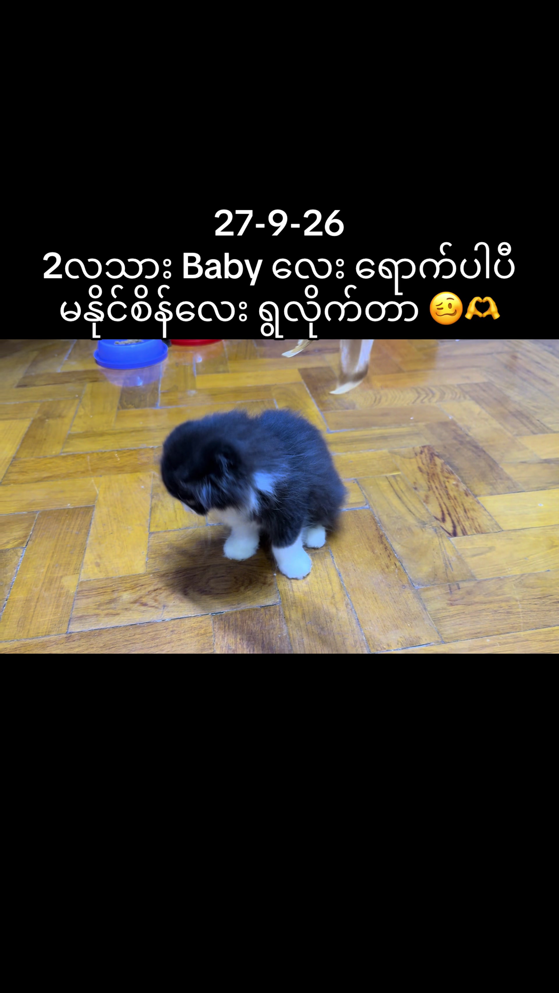 @🌻&Scaron;ħǐň Śħ&iacute;ń Ťħă&ntilde;ṭ🌻(OFFICIAL)