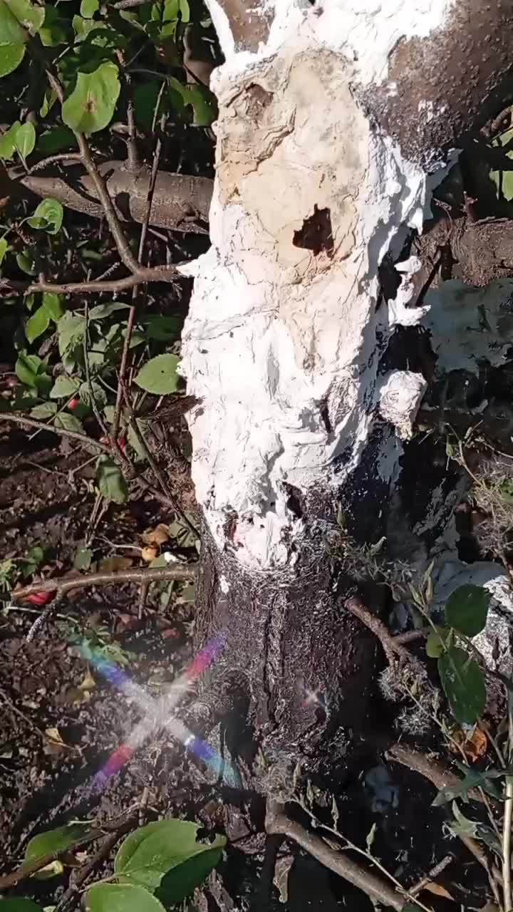@🔥♠🔥