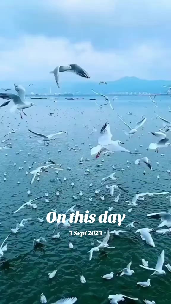 @๐ผุญูุงุชู ุงุฌู
ู ุจุฐูุฑ ุงููู ๐ผ