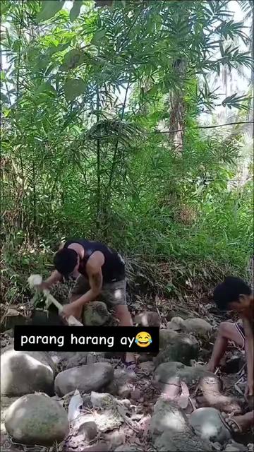 @Parekoitv