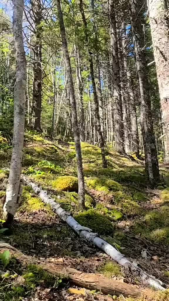 @Hiking_n'_Shit 🇨🇦