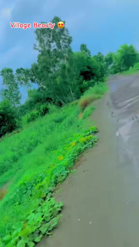 @Bajwa 423 آلہ