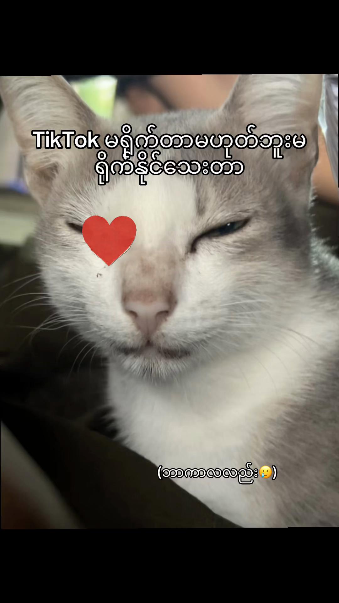 @TiTant