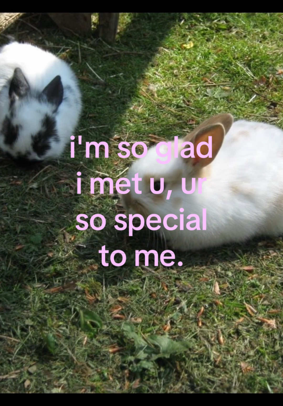 @iseenthisinmydream