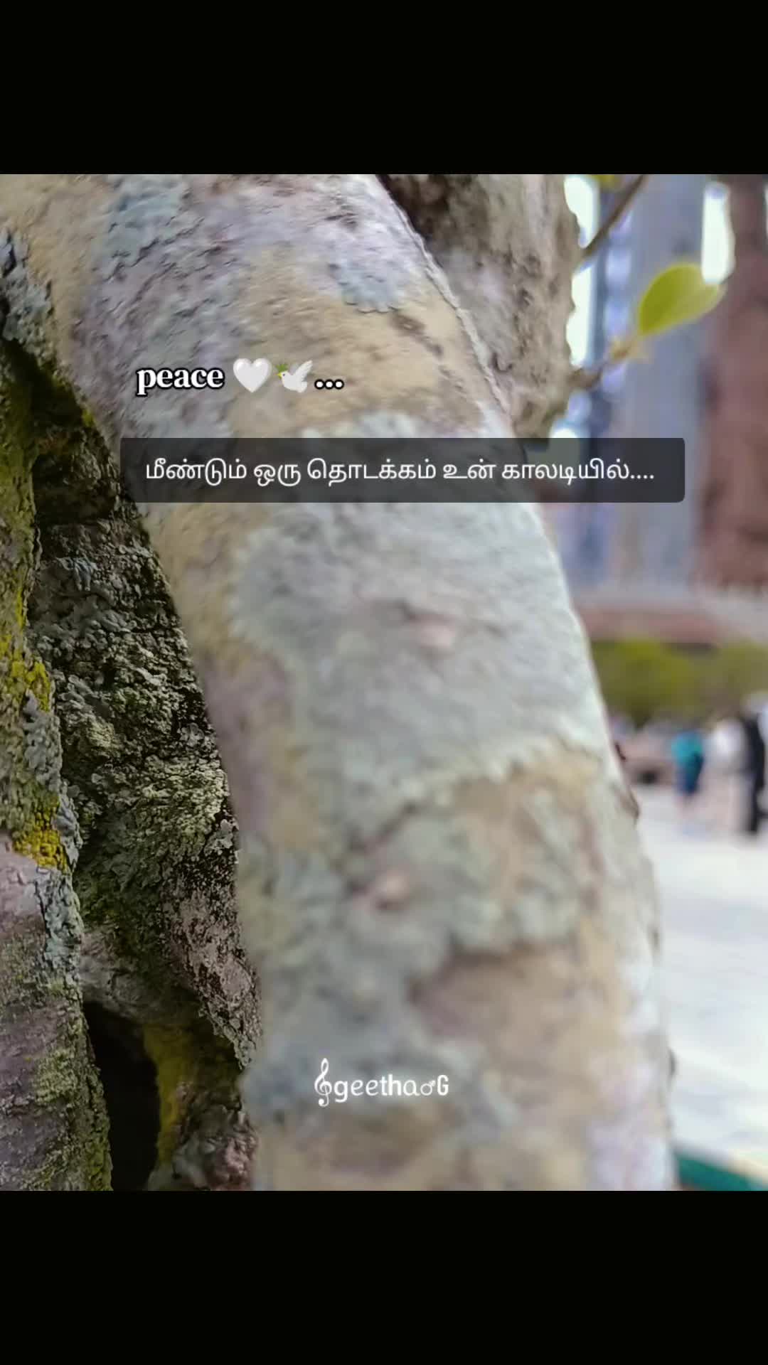 @𝄞ও🤍கீதா٭ர𝙂ᴠ♬➹🕊