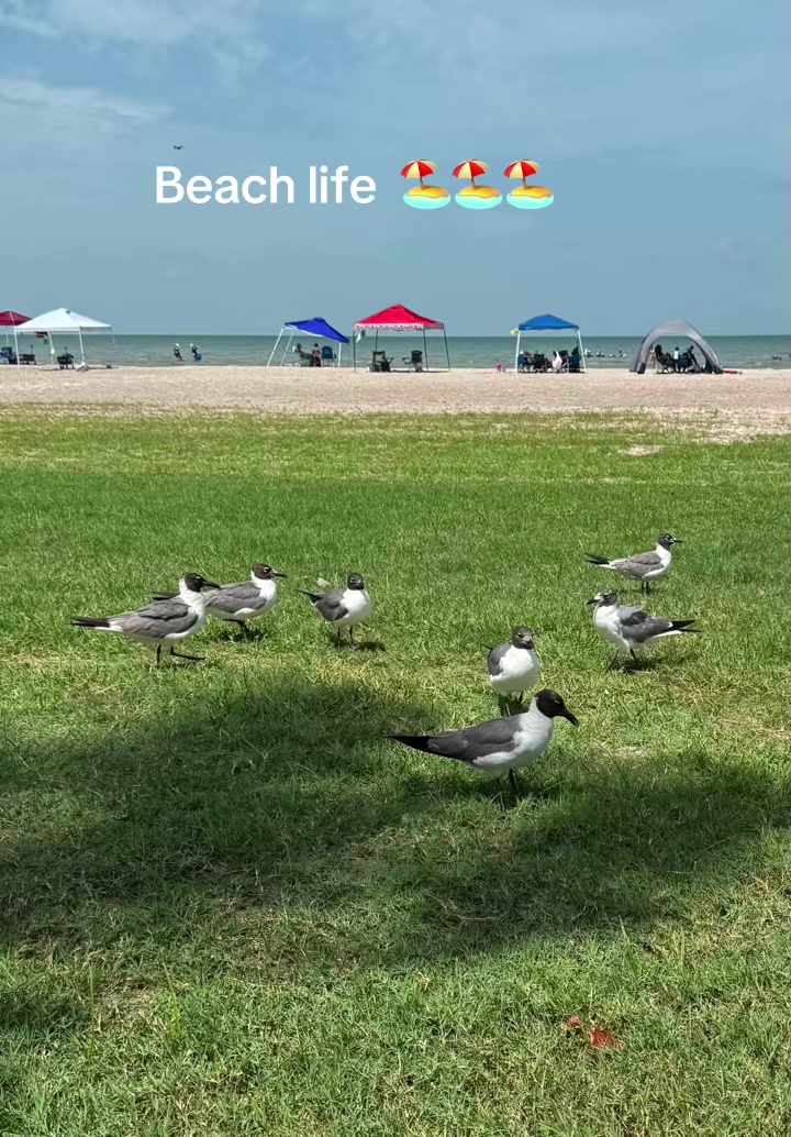 @Jann_Stone_