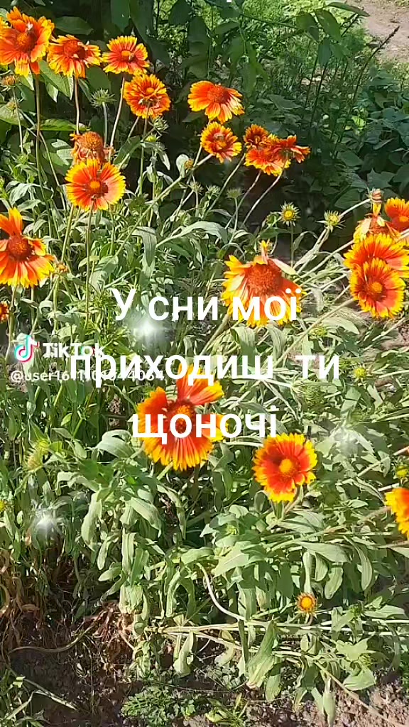 @Божена