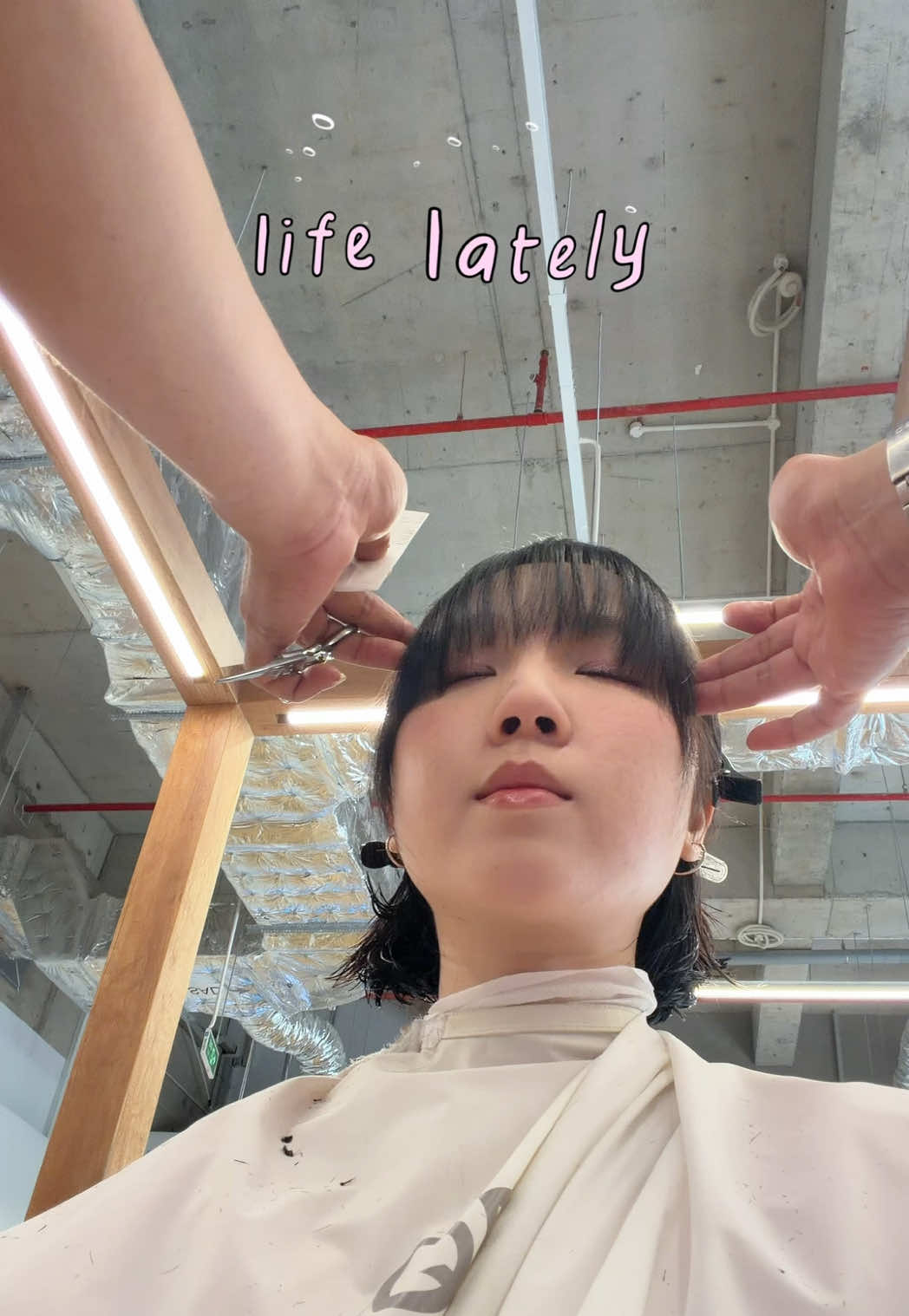 @tiethepie ˙ᵕ˙