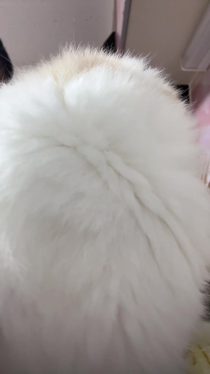 @Kiki