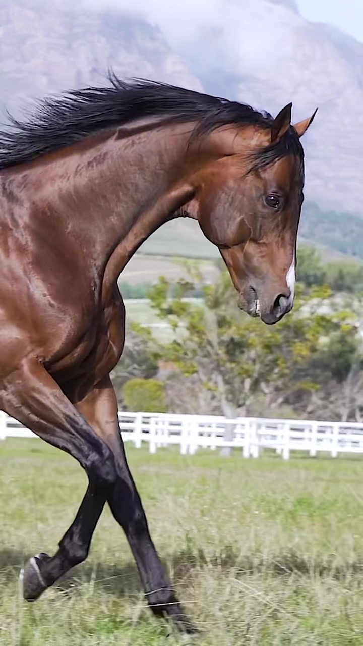 @Snaith Racing
