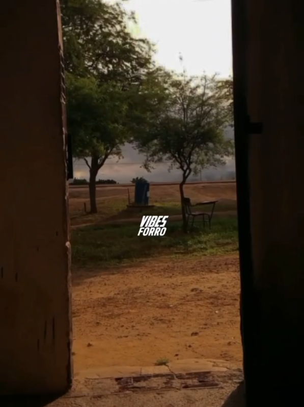 @VIBES FORRO