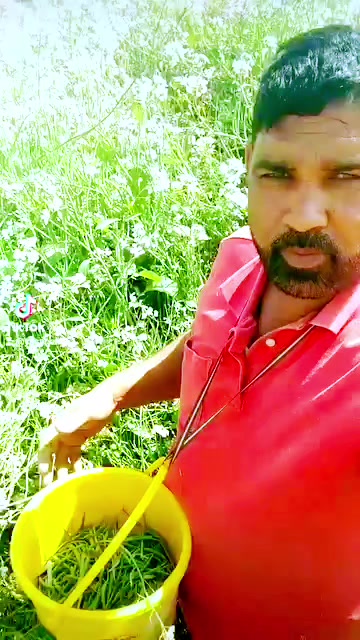 @yasar Ali