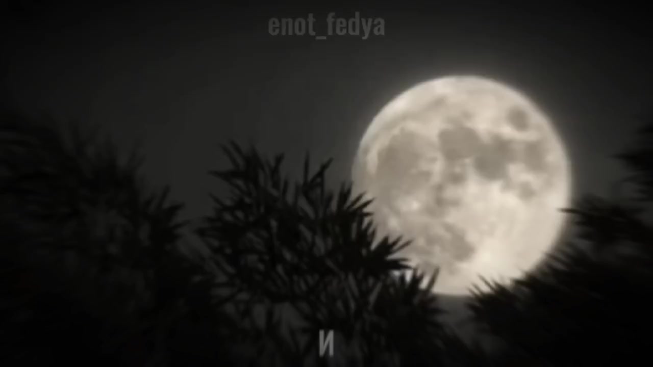@☆Енотик федя☆