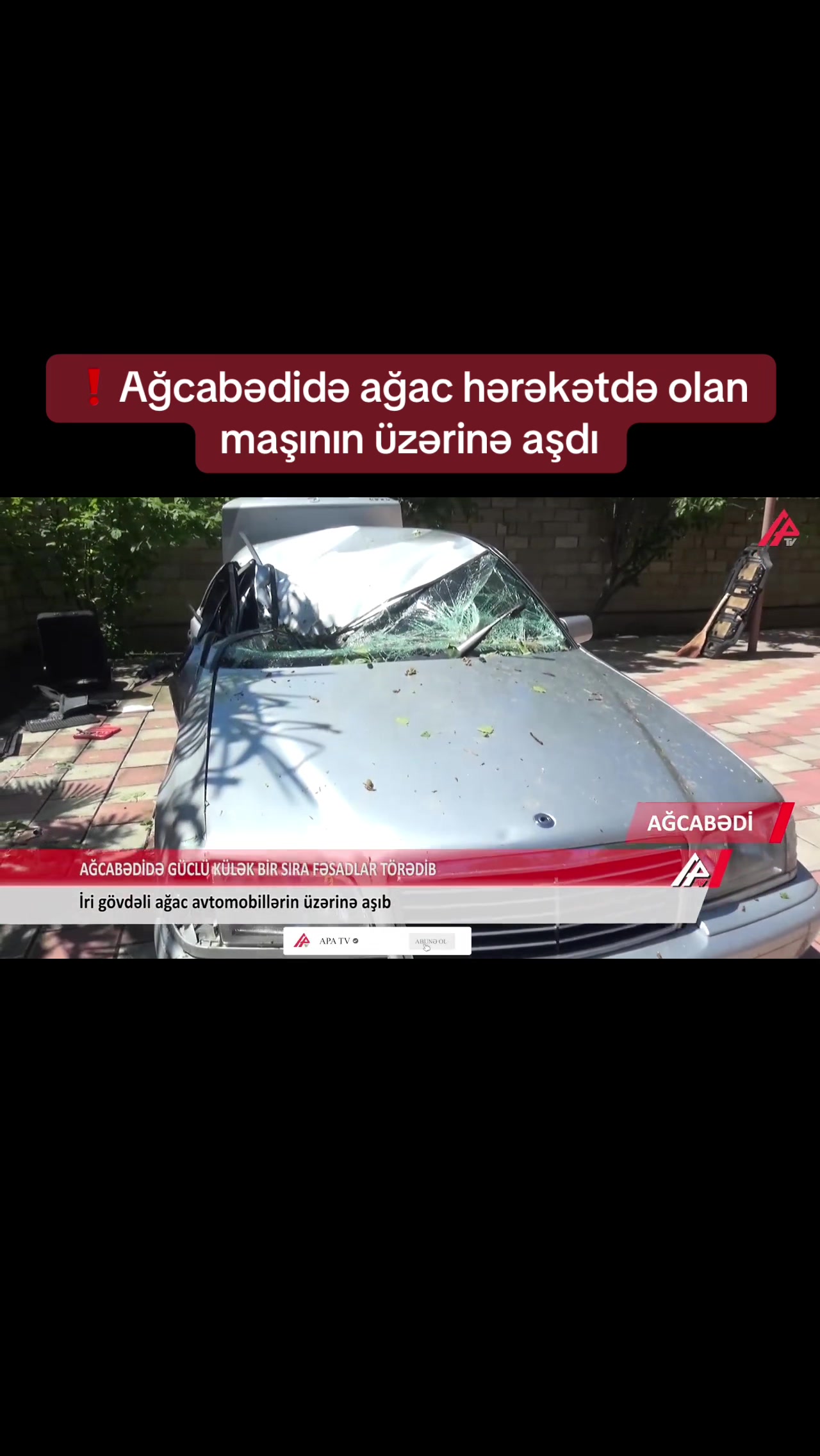 @apatvxeber