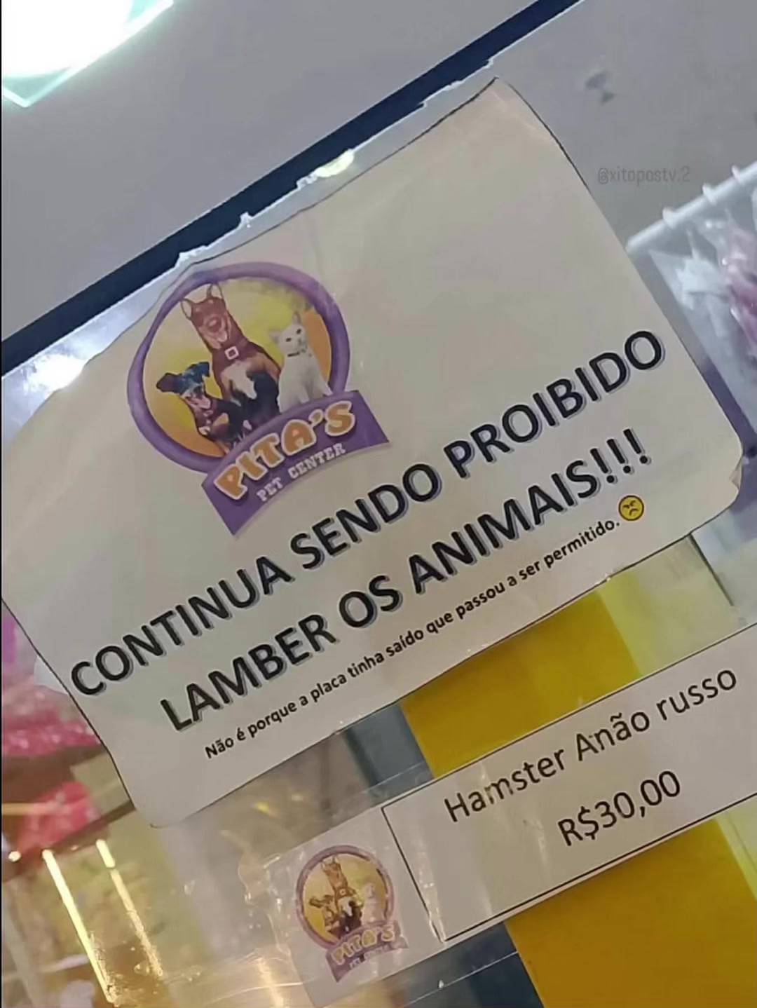 @AqueleMemeTTK