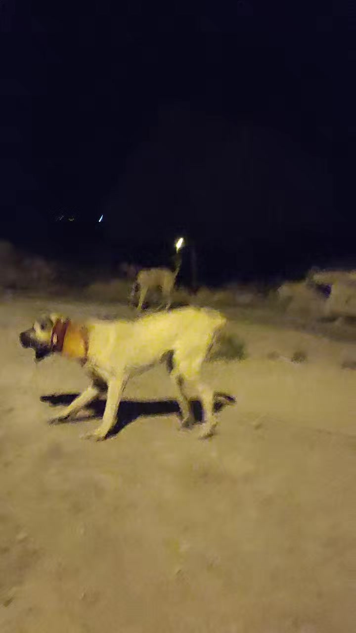 @🇹🇷 Murat Çıtak 🇹🇷
