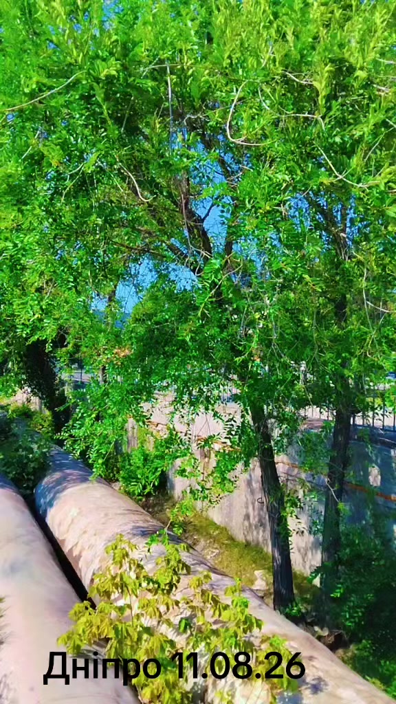 @АЛЬОНУШКА