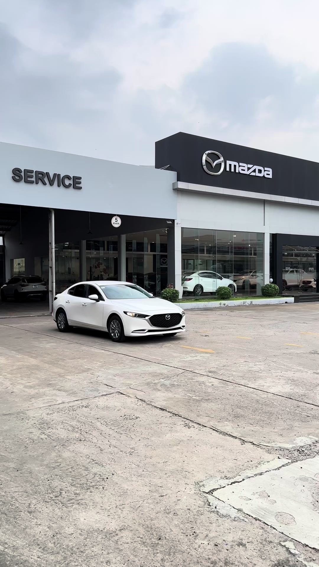 @mazdalongan