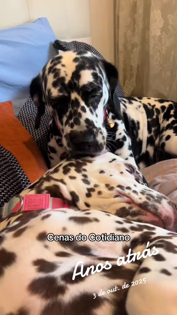 @Margô e Jude