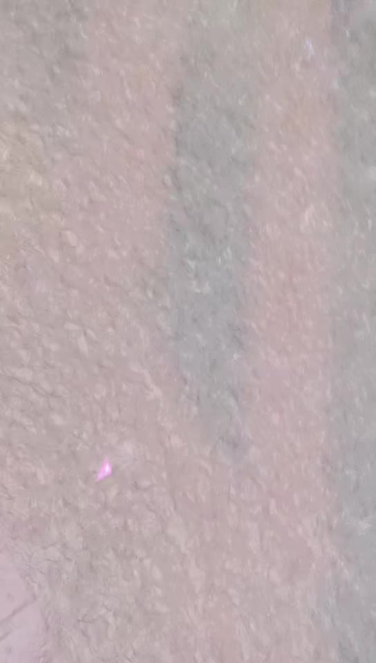@افشین ملک 🧚