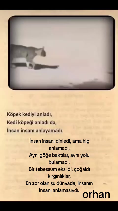 @yılmaz Çetinkaya