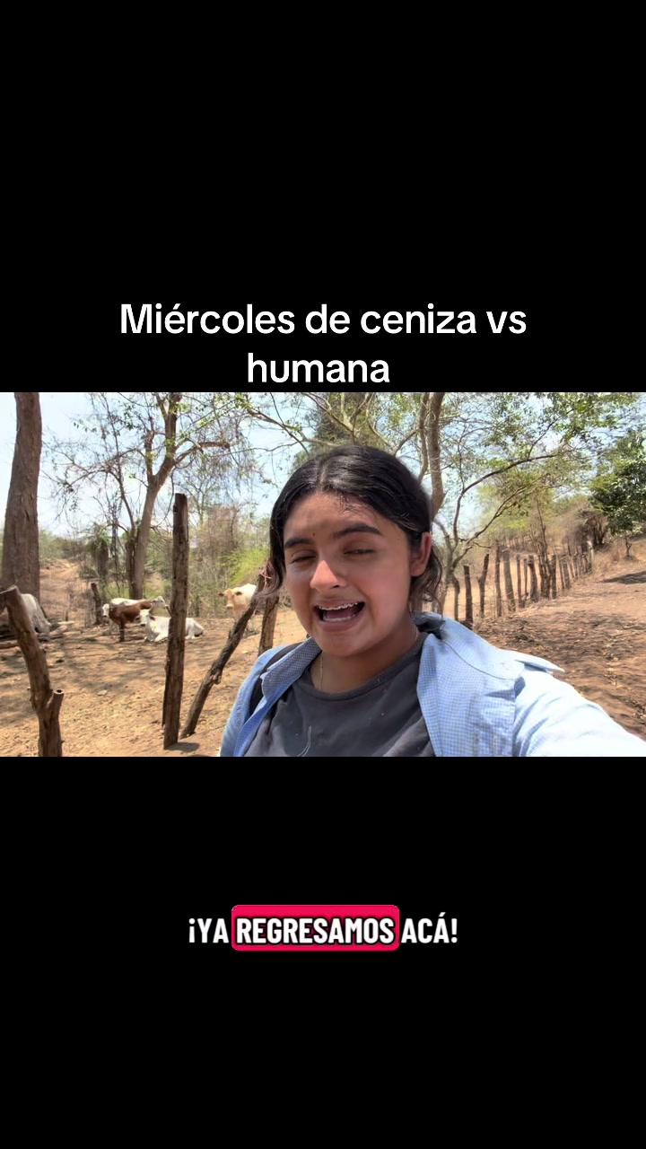 @liz_alvarez42