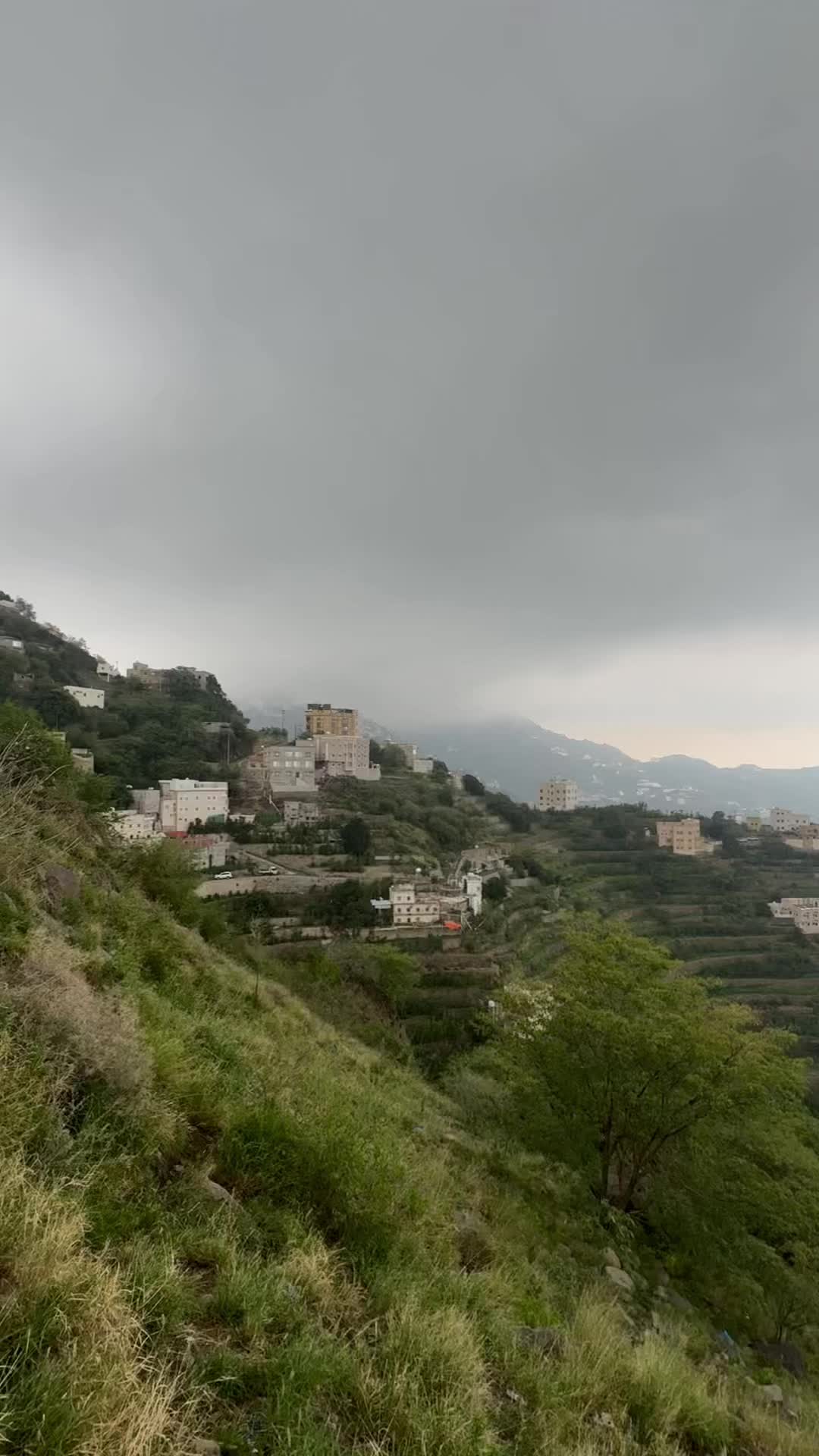 @سلطان زاهر