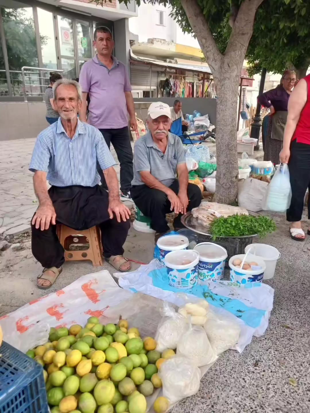 @iskenderunbülteni