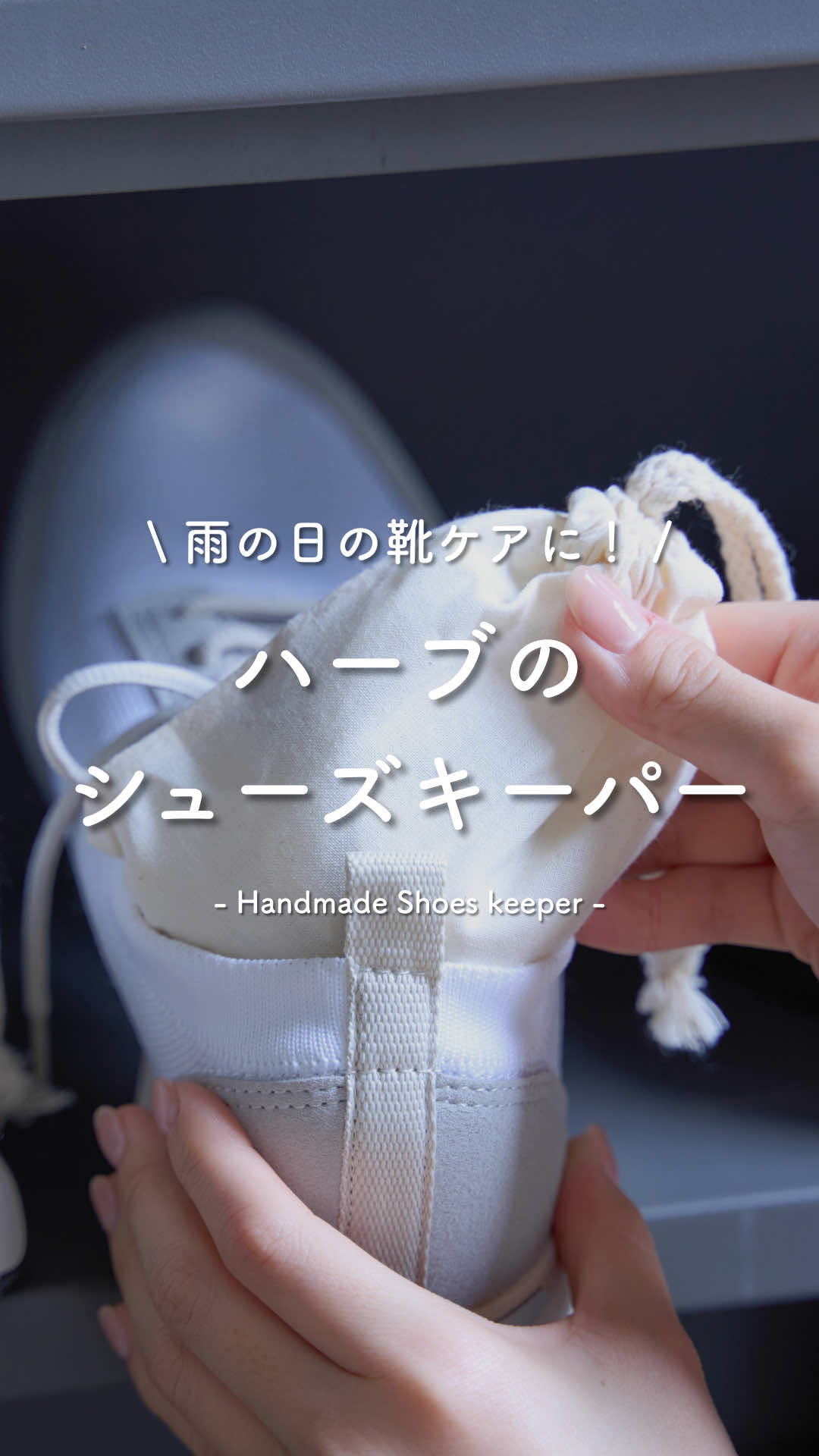 @生活の木【公式】